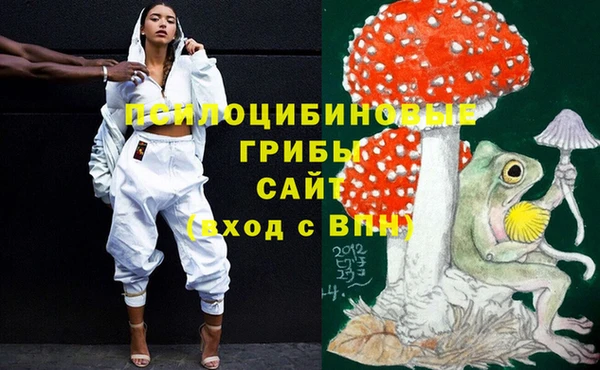 PSILOCYBIN Абдулино