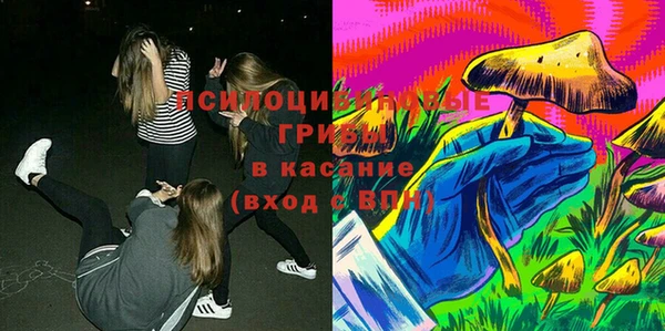 PSILOCYBIN Абдулино