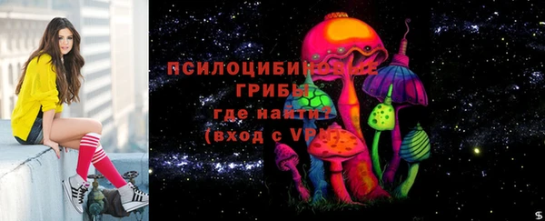 PSILOCYBIN Абдулино