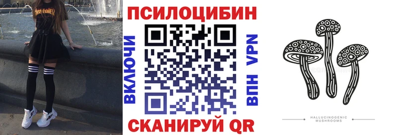 как найти наркотики  Вилючинск  Псилоцибиновые грибы Psilocybe 