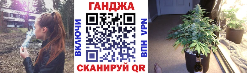Каннабис план  продажа наркотиков  Вилючинск 